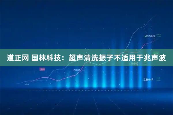 道正网 国林科技：超声清洗振子不适用于兆声波