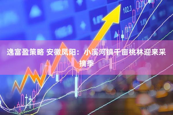 逸富盈策略 安徽凤阳：小溪河镇千亩桃林迎来采摘季